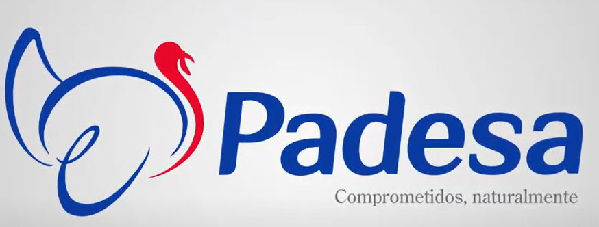 Padesa cerdo