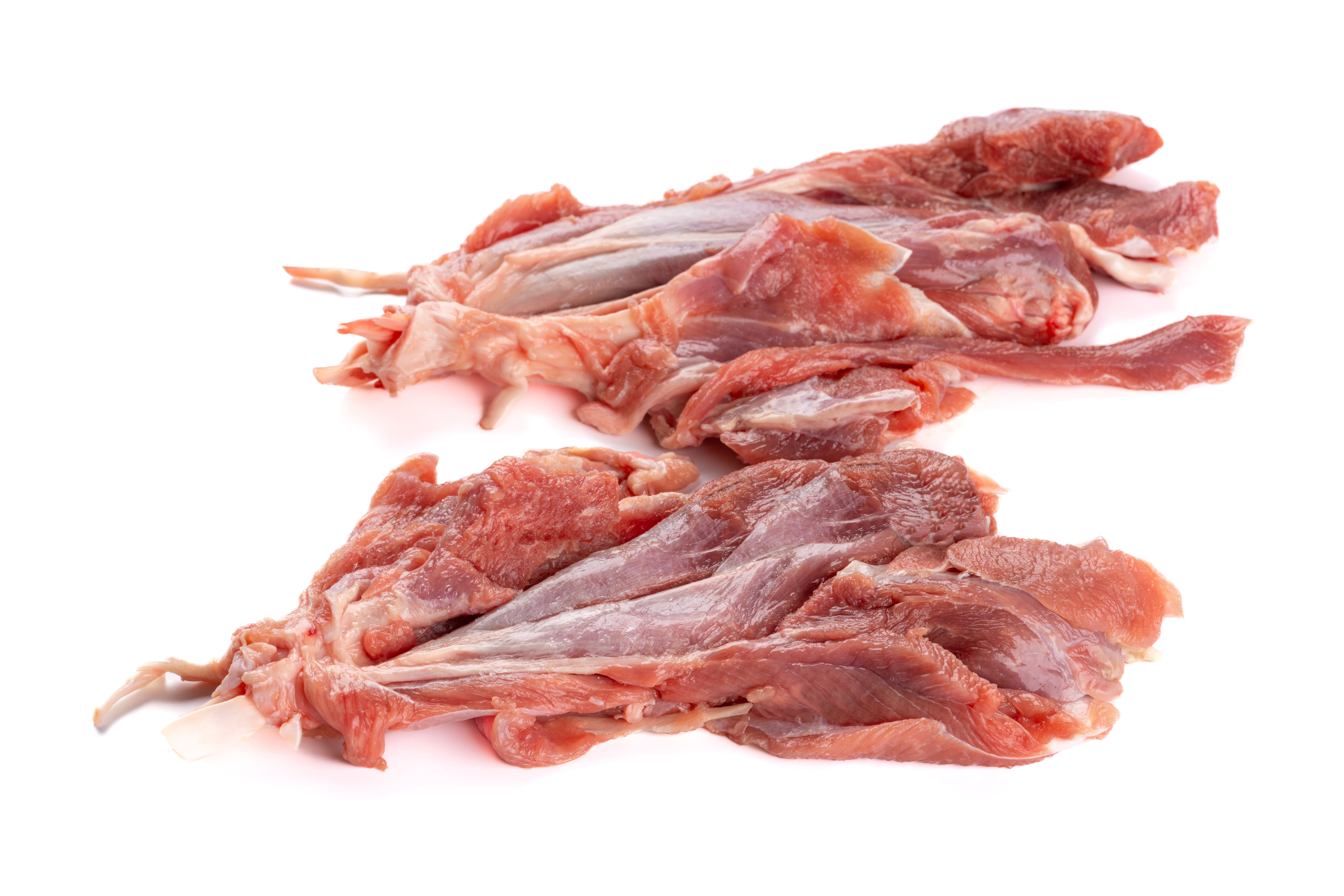 Pavo espada Pavidols