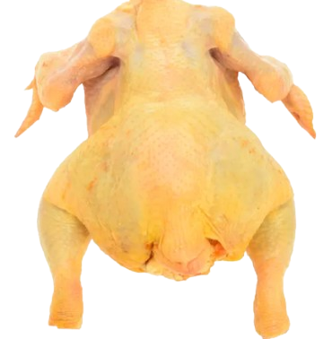 Pollo entero amarillo Pavidols