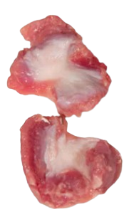 Pollo mollejas Pavidols